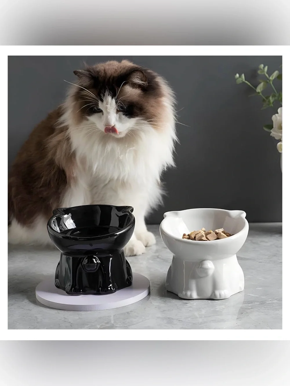 Ceramic Elevated Cat Bowl